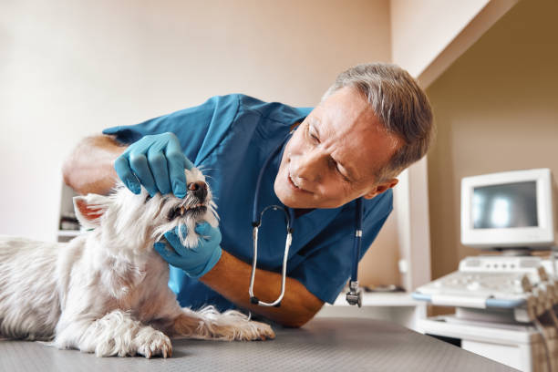 Best Walk-In Emergency Dentist in Coldwater, MS